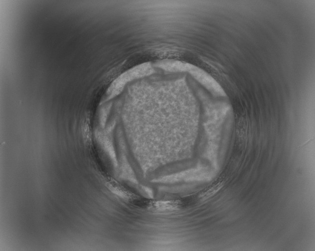 X0000075360622200610061748