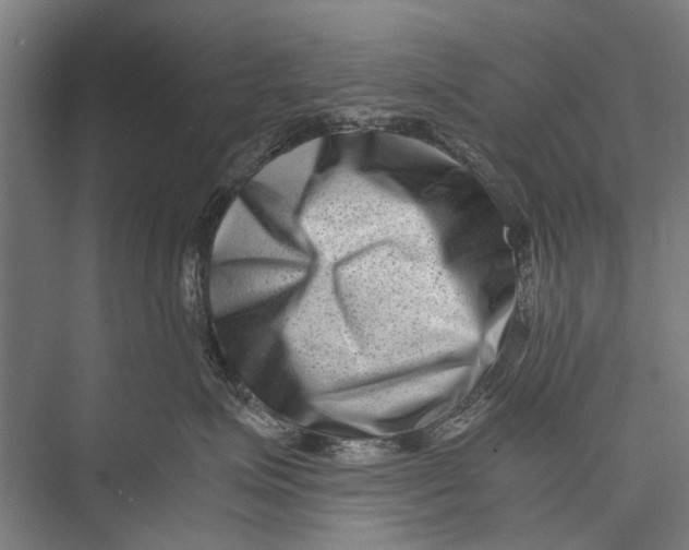 X0000075360623200610061748