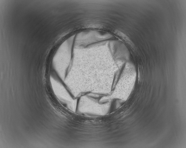 X0000075360627200610061747