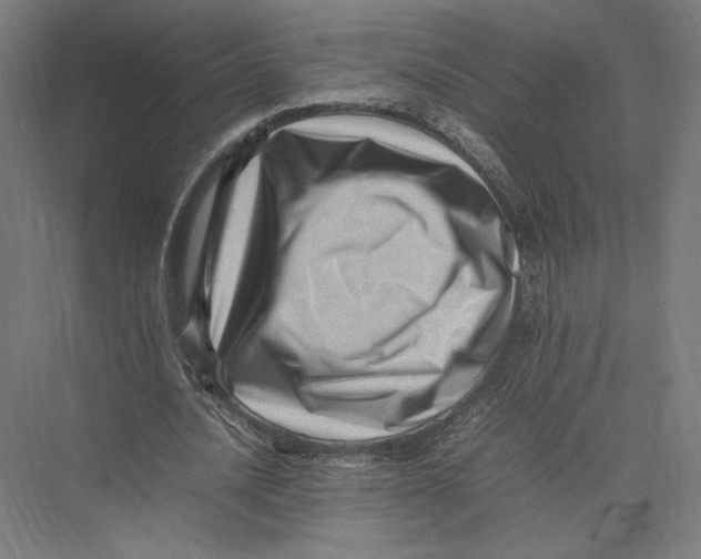 X0000075360628200610061747