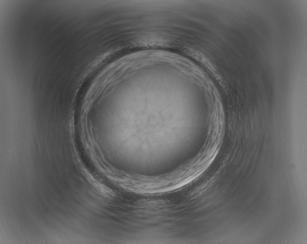 X0000075360629200610061747