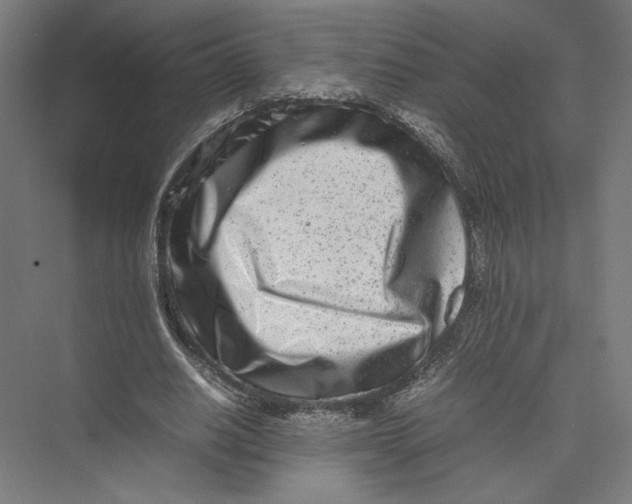 X0000075360630200610061747