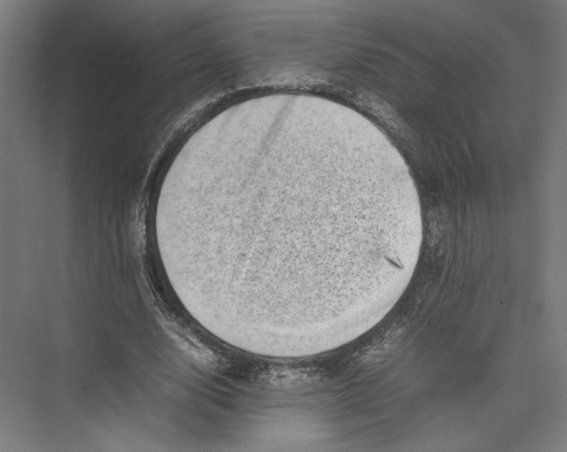 X0000075360632200610061747