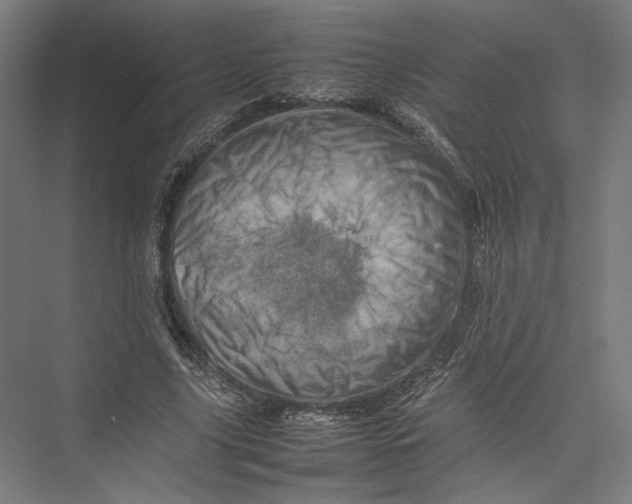 X0000075360635200610061748