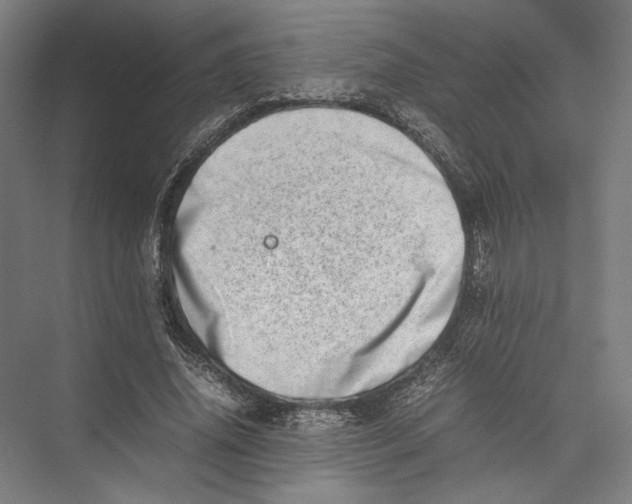 X0000075360636200610061748