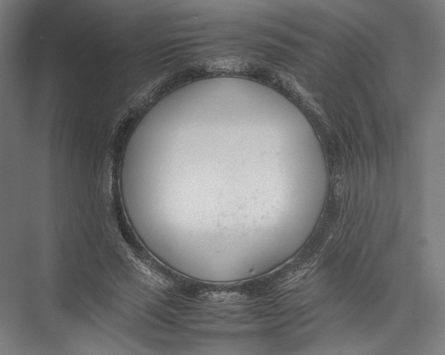 X0000075360637200610061748