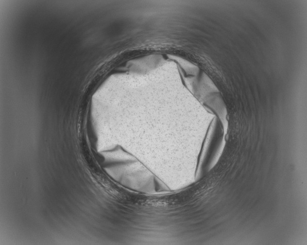 X0000075360640200610061748