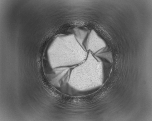 X0000075360641200610061748