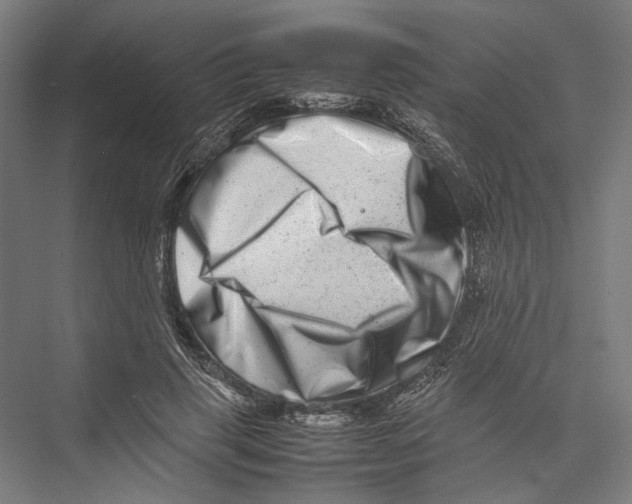 X0000075360645200610061748