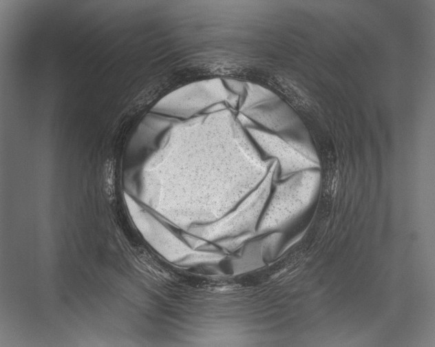 X0000075360646200610061748