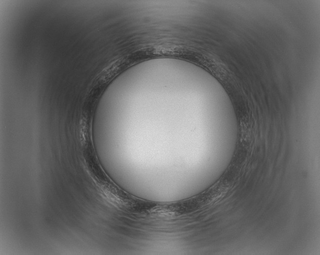 X0000075360648200610061748