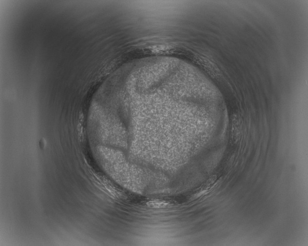 X0000075360650200610061748