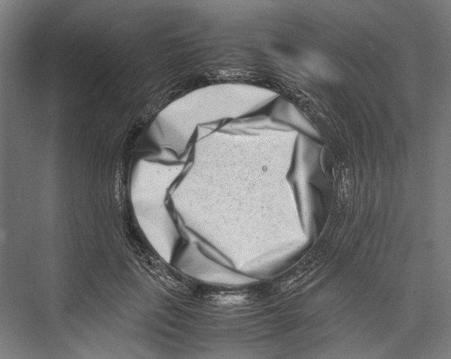 X0000075360651200610061748