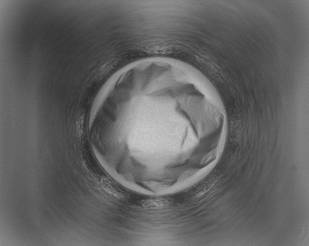 X0000075360652200610061748