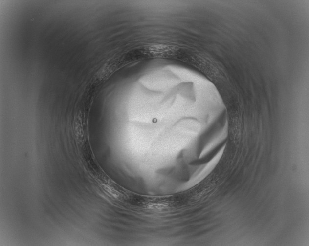 X0000075360653200610061748