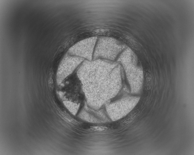 X0000075360654200610061748