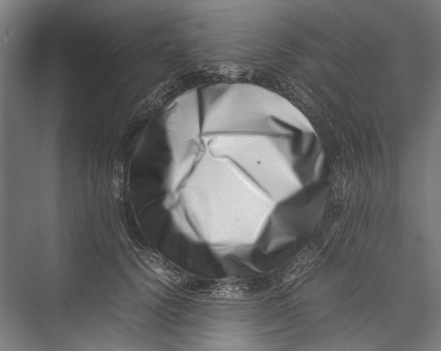 X0000075360656200610061748