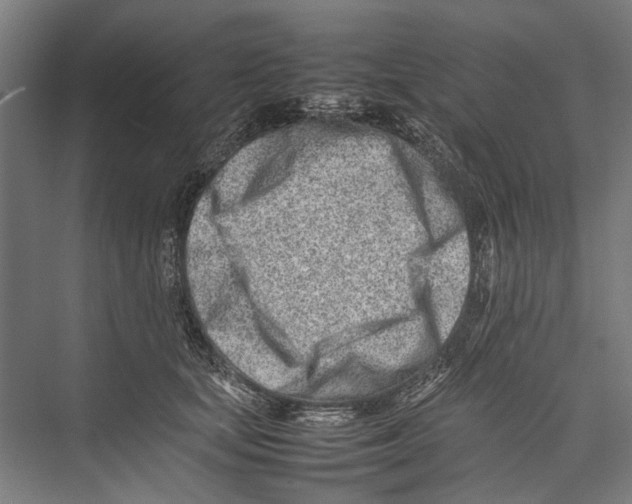 X0000075360659200610061748