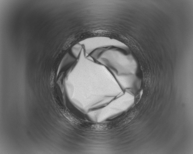 X0000075360660200610061748