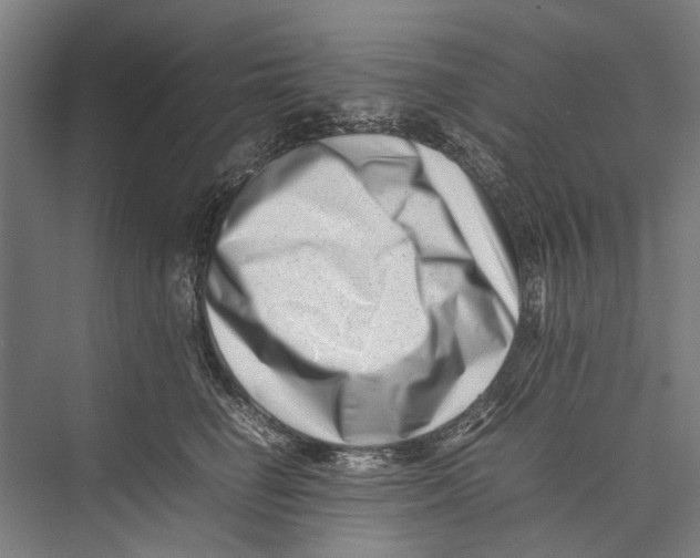 X0000075360662200610061748