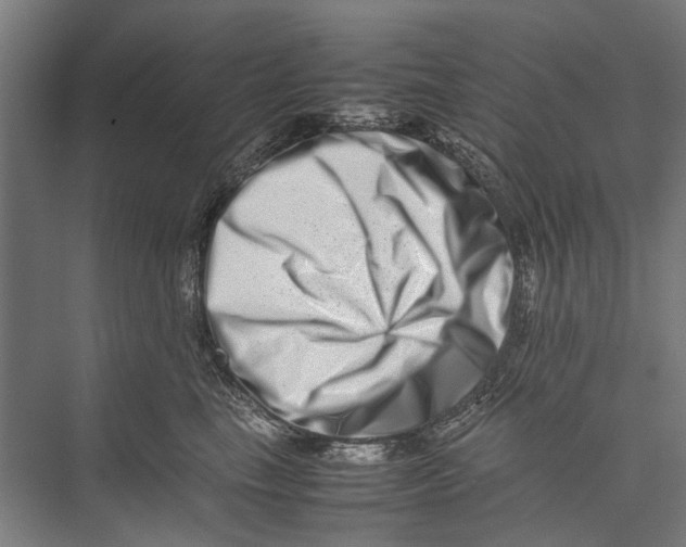 X0000075360665200610061748