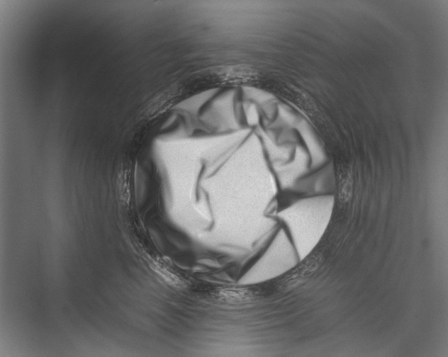 X0000075360666200610061748