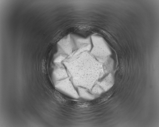 X0000075360667200610061748