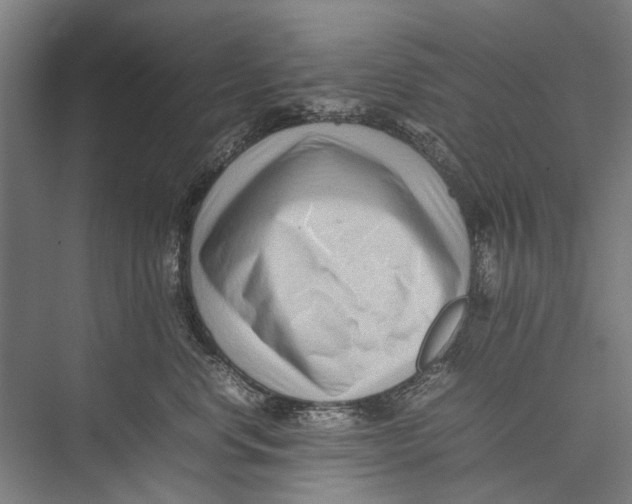 X0000075360668200610061748