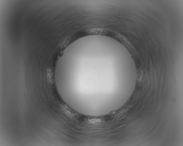 X0000075360669200610061748