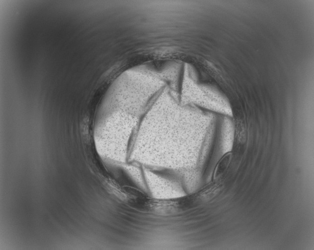 X0000075360670200610061748