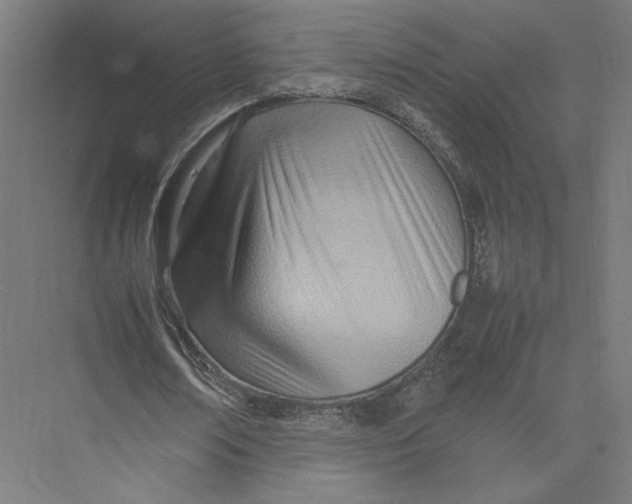 X0000075360674200610061747