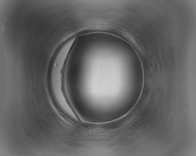 X0000075360677200610061747