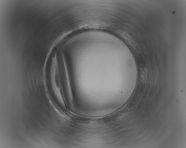 X0000075360678200610061747