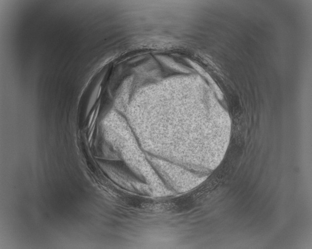 X0000075360679200610061747