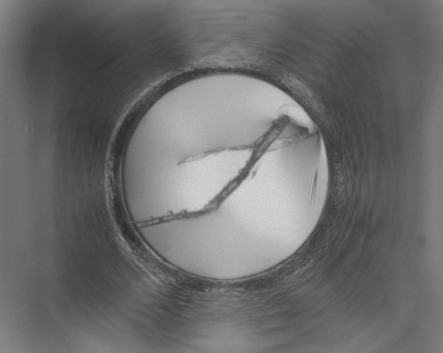 X0000075360680200610061747