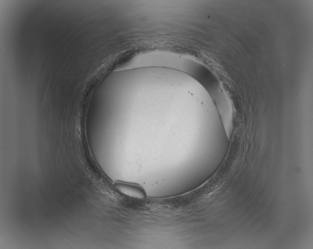 X0000075360681200610061747