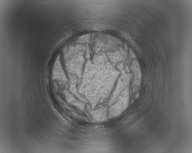 X0000075360683200610061747