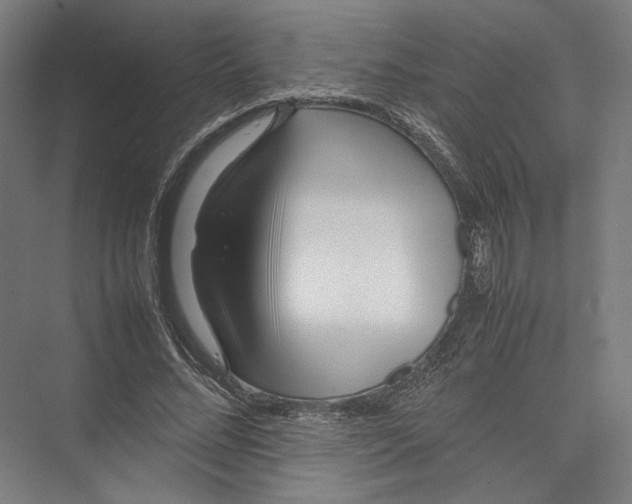 X0000075360684200610061747