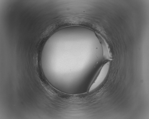 X0000075360685200610061747