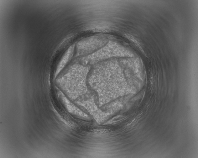 X0000075360686200610061747