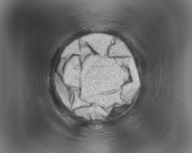 X0000075360687200610061747