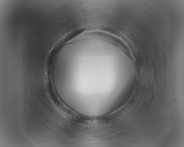 X0000075360688200610061747