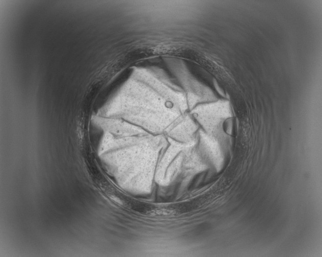 X0000075360691200610061747