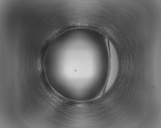 X0000075360692200610061747