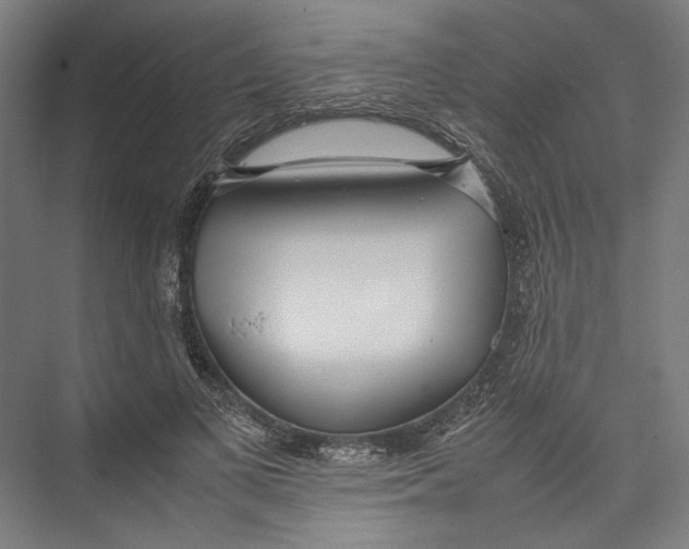 X0000075360693200610061747