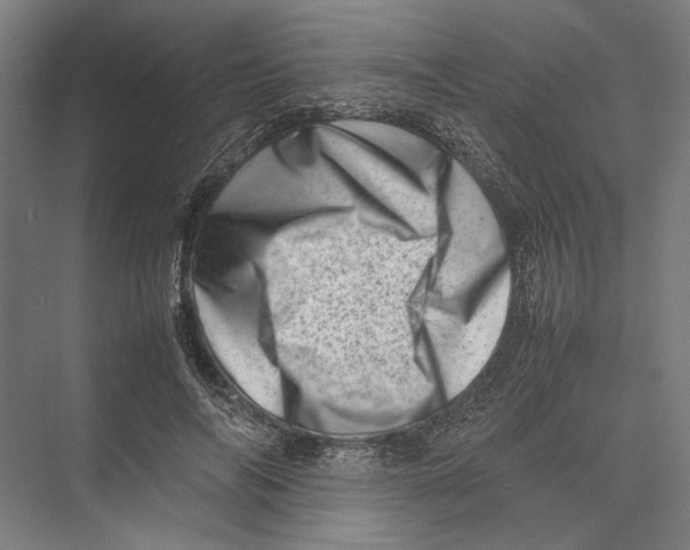 X0000075360694200610061747