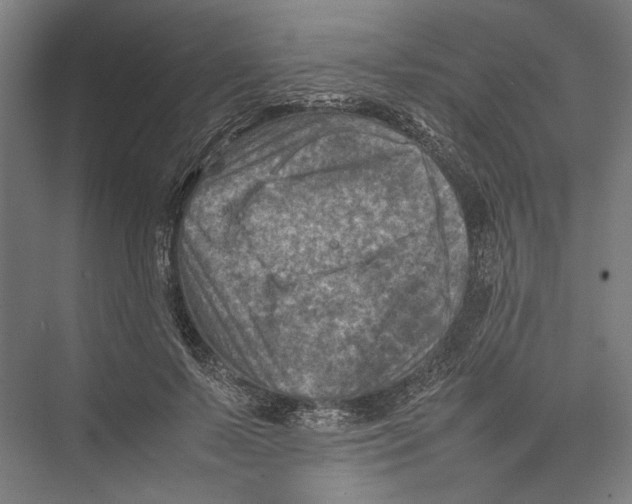 X0000075360695200610061747