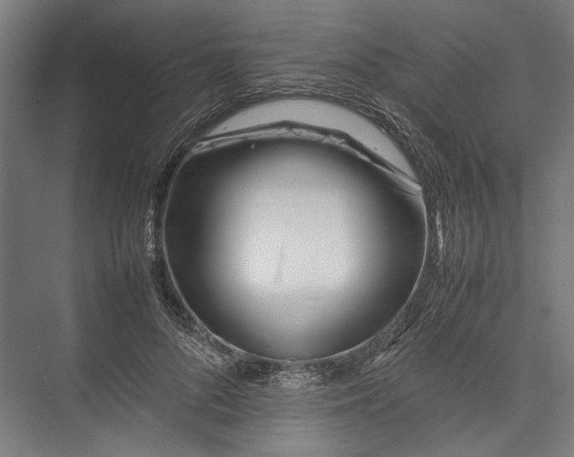 X0000075360696200610061747