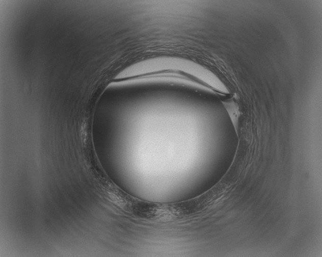 X0000075360697200610061747