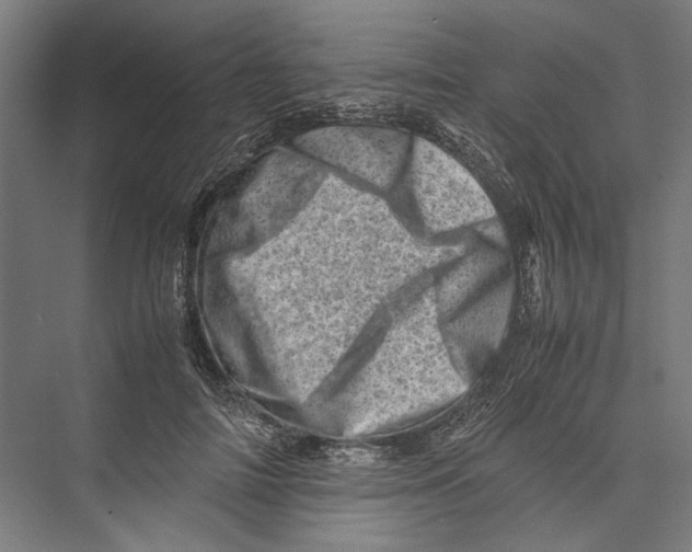 X0000075360698200610061747